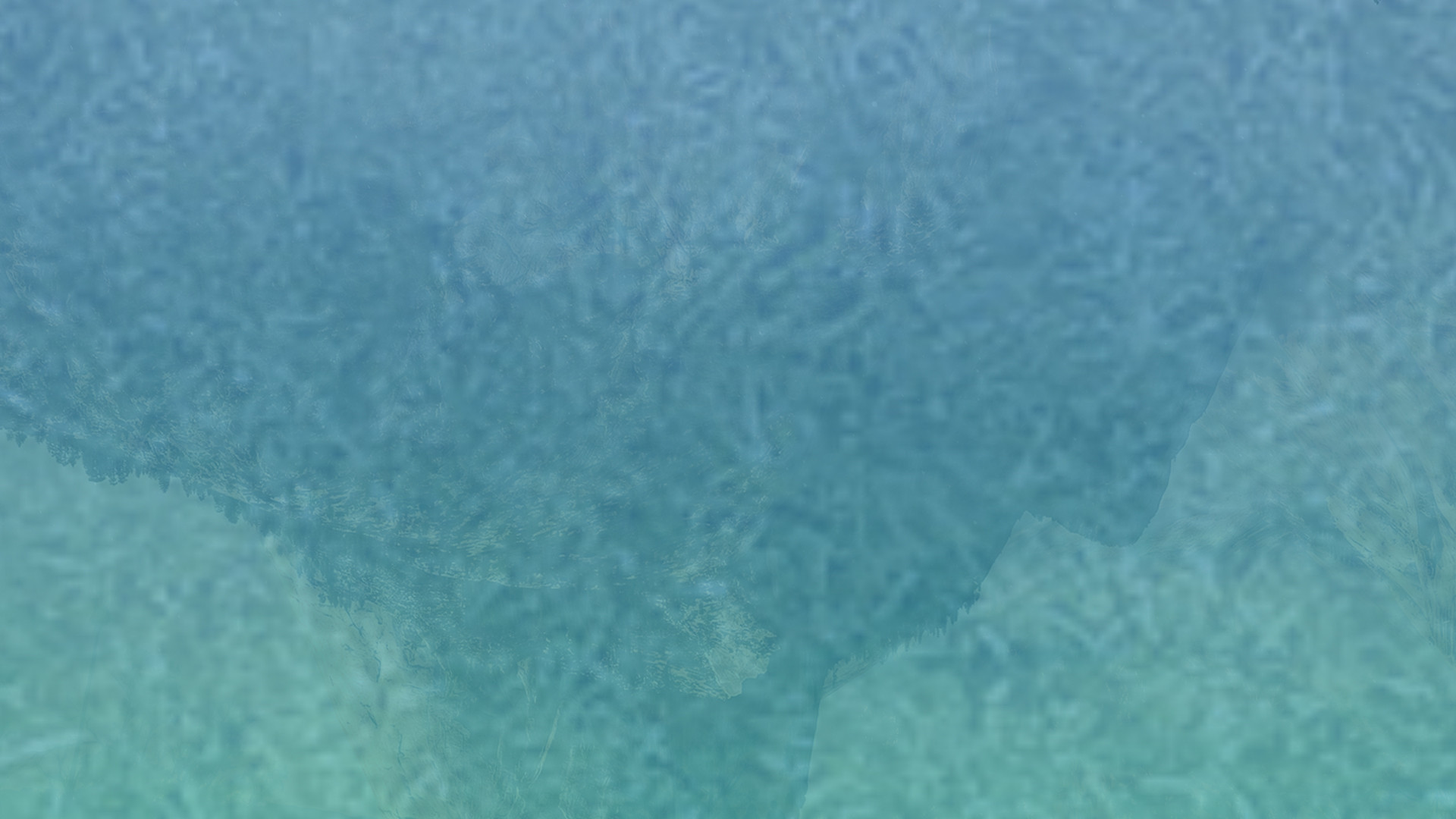 怎么去攻击一个网站与防护